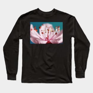 Spring Joy Long Sleeve T-Shirt